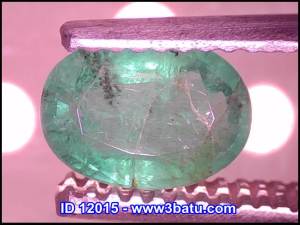Zamrud ID 12015 – 1.05c – Oiled Moderate – Zulkarnain